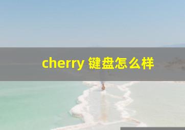 cherry 键盘怎么样